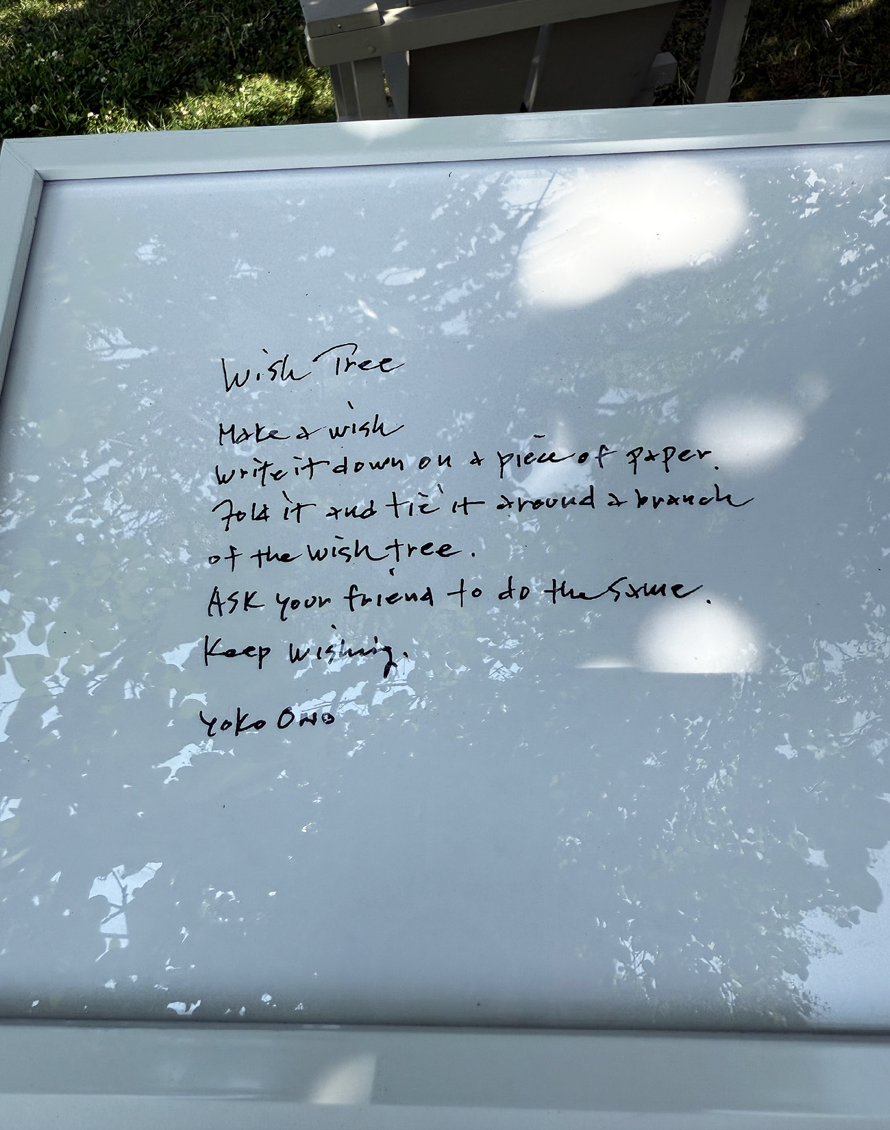 An outdoor picture of leafy green trees (tree lilacs) with many small white papers attached to the branches