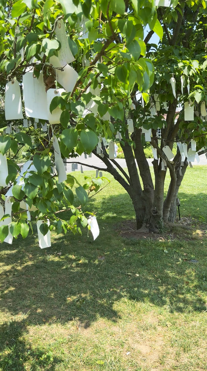 Yoko Ono’s Wish Tree
