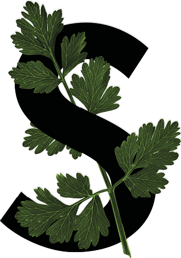 capital letter S with leaf decoration