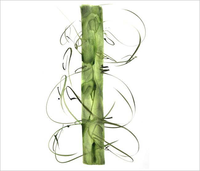 Abstract watercolour study of a plant