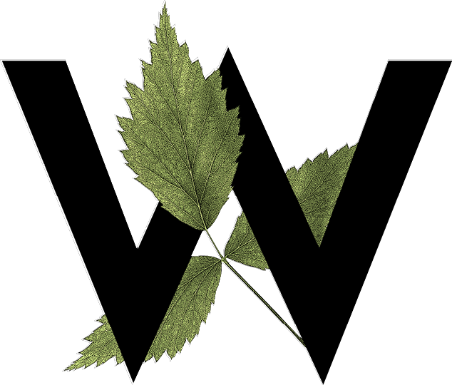 Letter W with leaf decoration