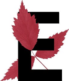 capital letter E with leaf decoration