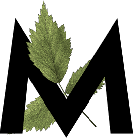 capital letter M with leaf decoration