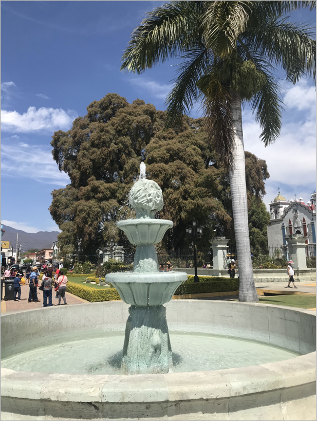 photo of fountain and Tule tree