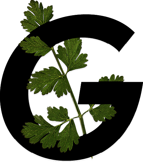 capital letter G with leaf decoration
