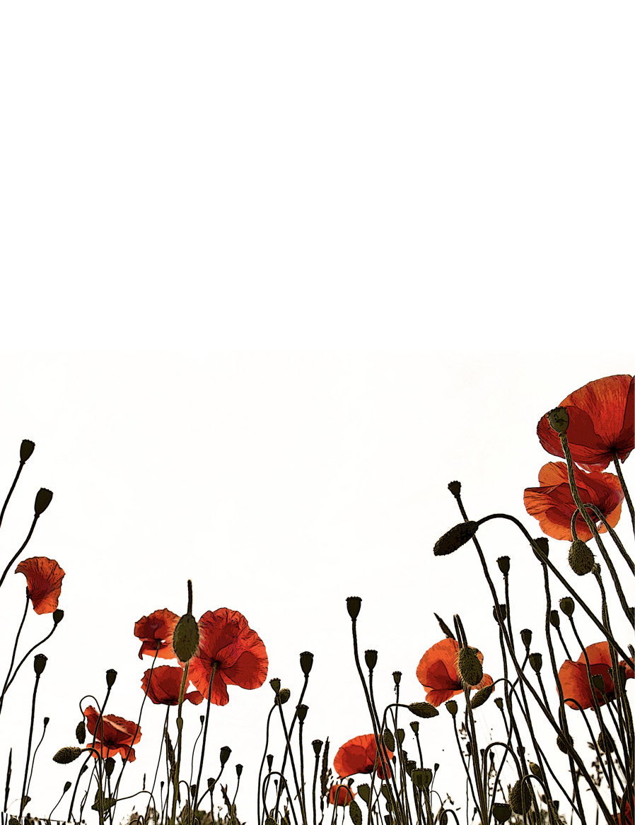 decorative image of poppies