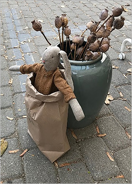  photograph of decorative dried poppy stalks