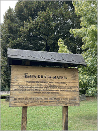 thread photographs of Slovakia’s oldest linden tree