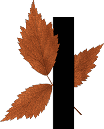 capital letter I with leaf decoration