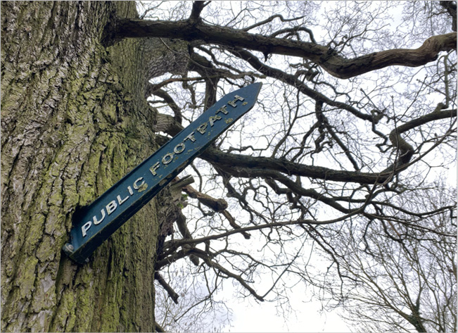 Photograph of an oak tree with footpath sign attached