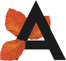 capital letter A with leaf decoration