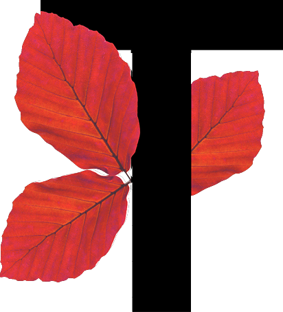 capital letter T with leaf decoration