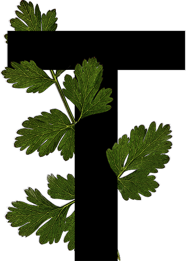 capital letter T with leaf decoration