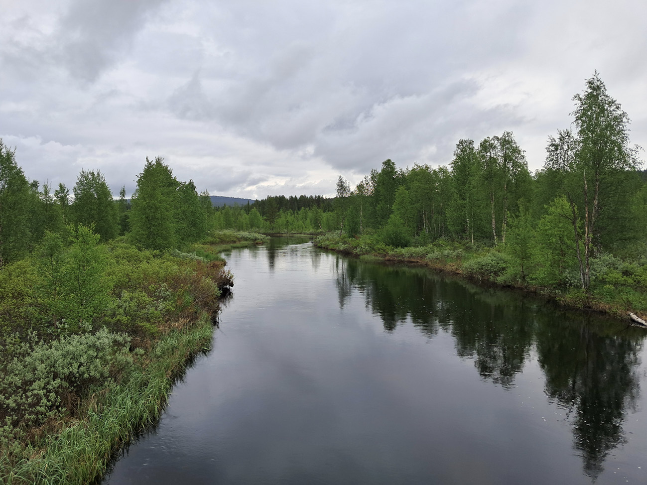 A river with tree lined banks