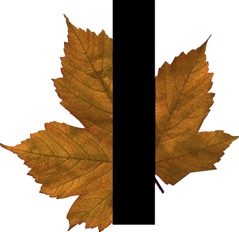 Letter I with leaf decoration