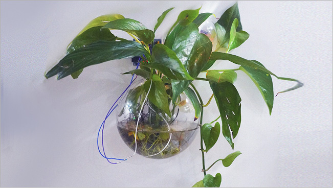 photograph of plant with electrical wires