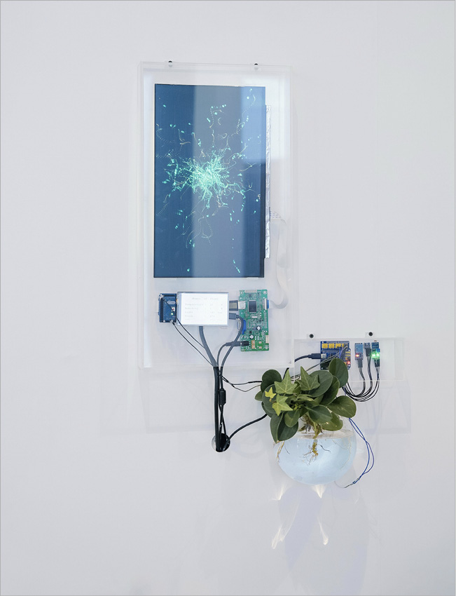 photograph of plant with electrical wires and screen depicting signals