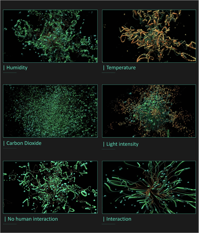 several representations of plant signals with different stimuli