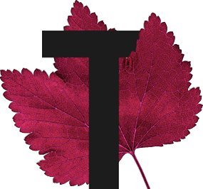 capital letter T with leaf decoration