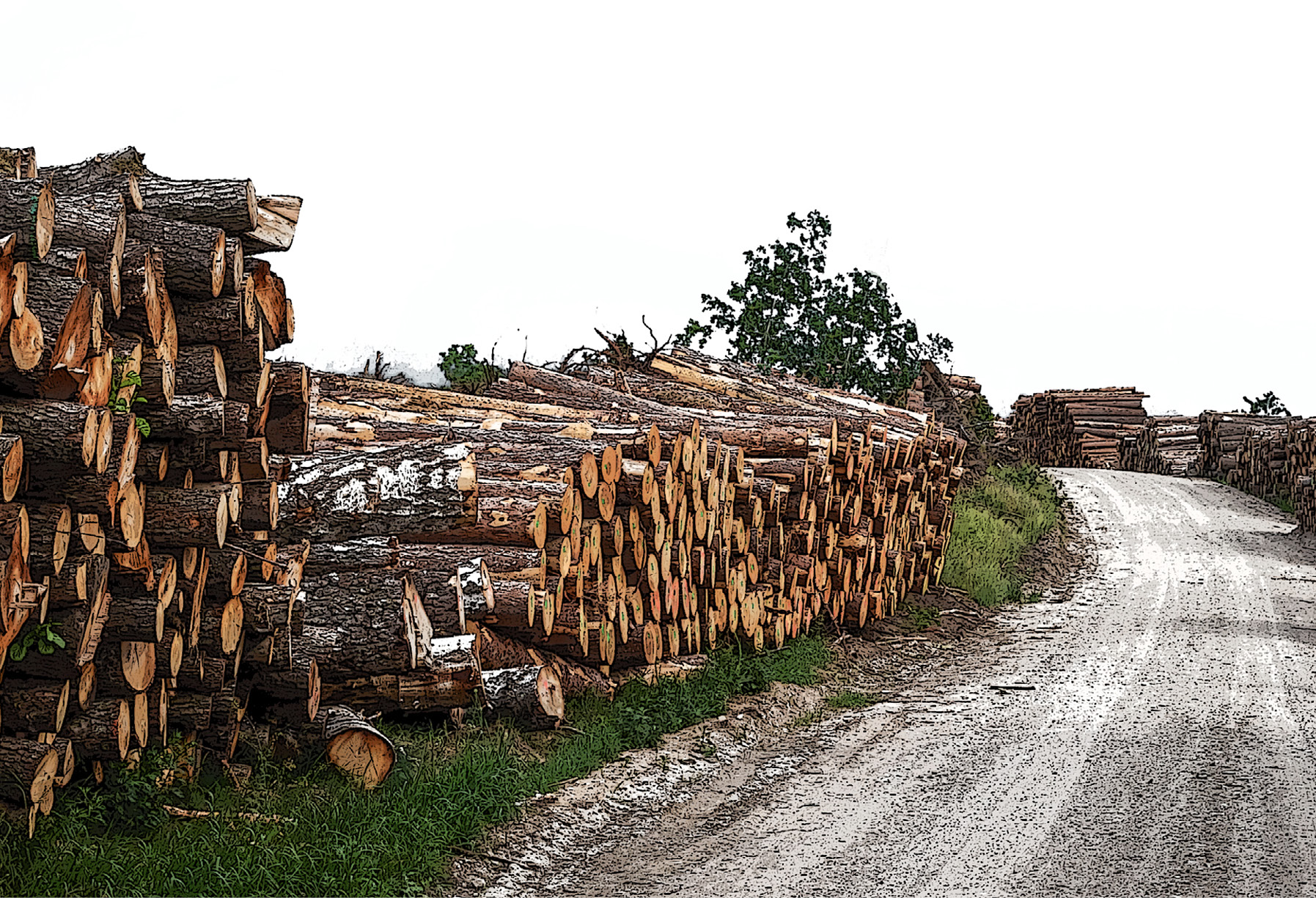 decorative image of stacked logs