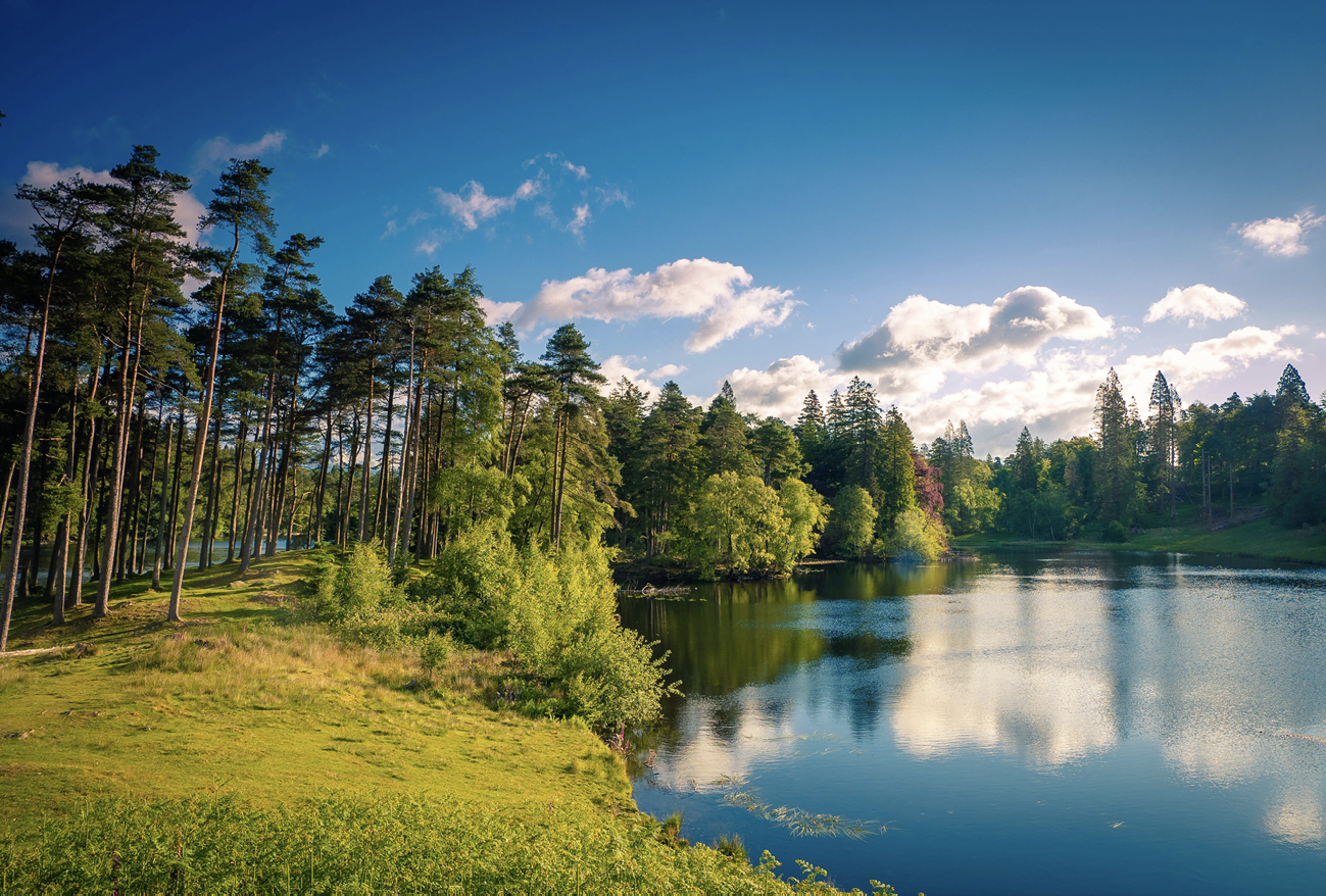 Photograph of Tarn Hows which depicts the lake and surrounding woodland on a sunny day.