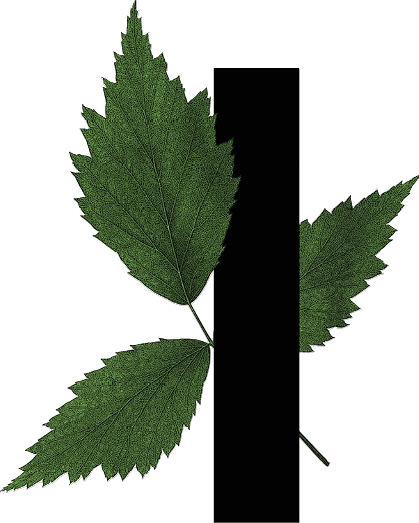 capital letter I with leaf decoration