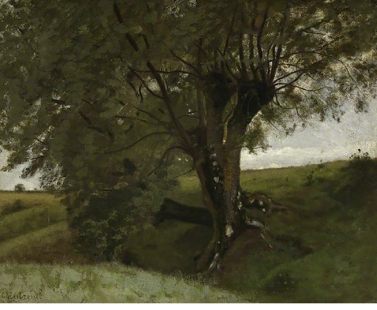 A painting of an ash tree against green fields and a cloudy sky