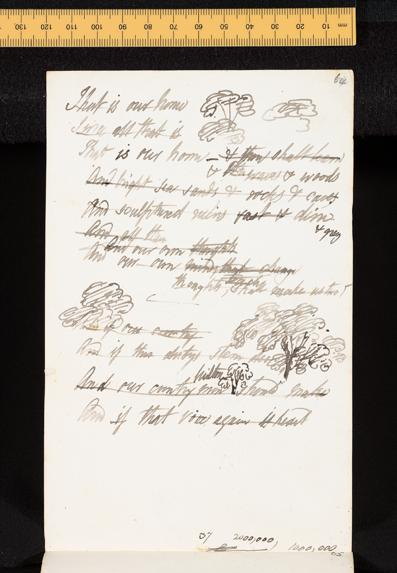 A manuscript page including lines of poetry and drawings of trees in ink