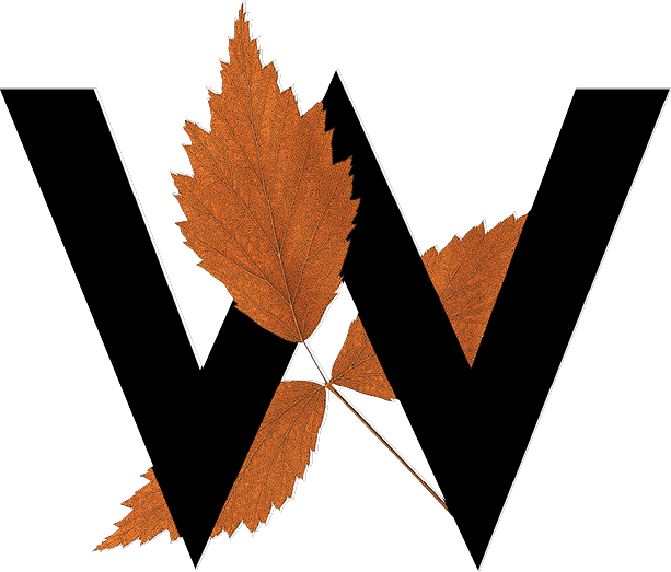 capital letter W with leaf decoration