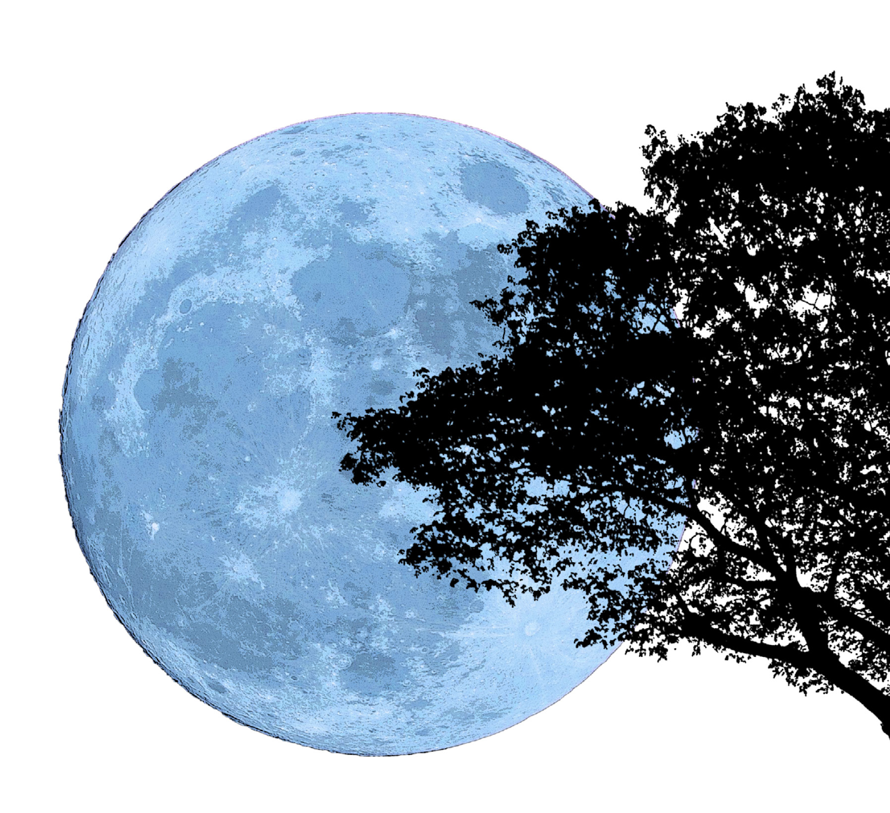 decorative image with a tree and the moon