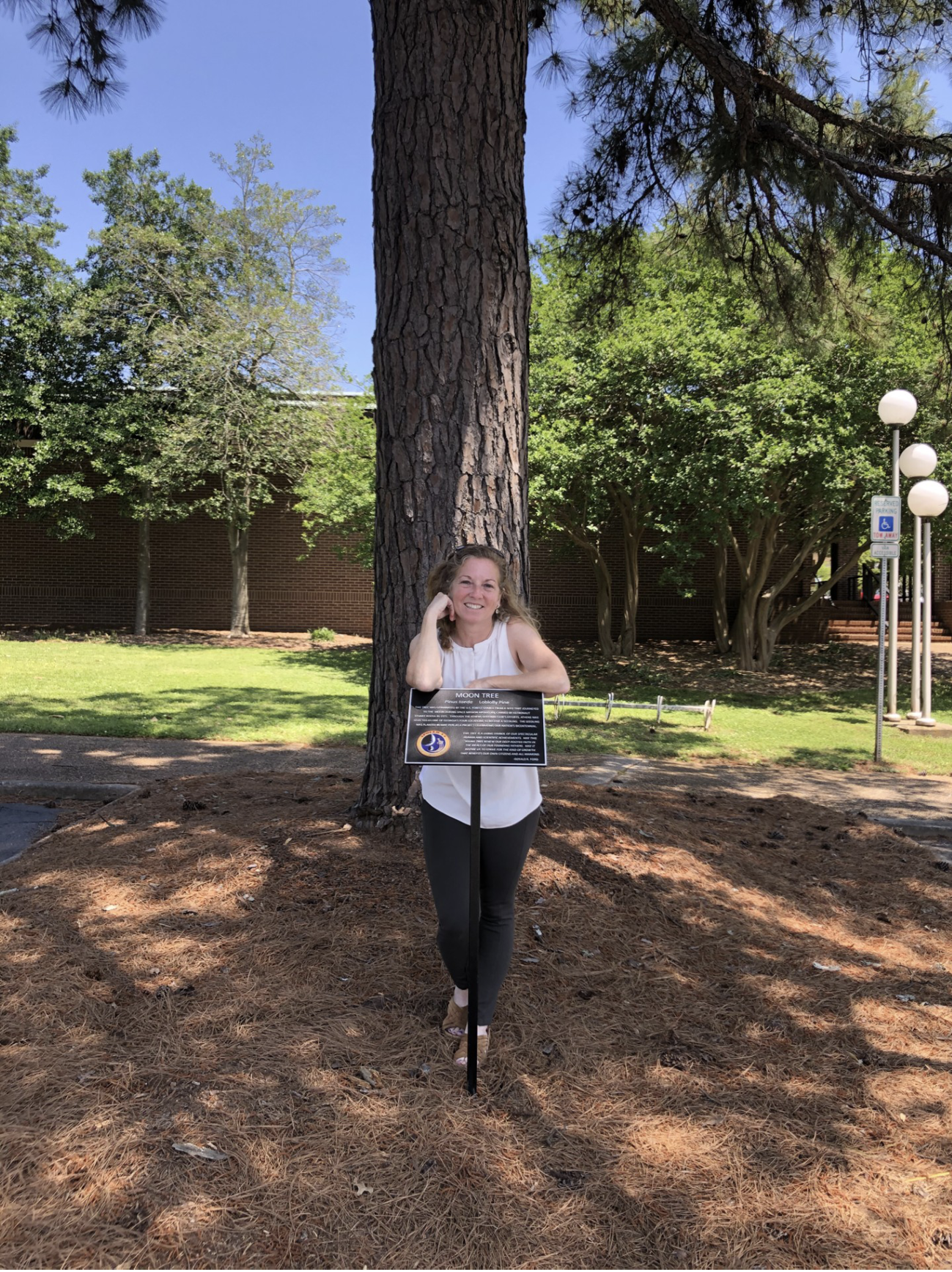 Photograph of a woman standing next to an interpretive sign in front of a large pine tree