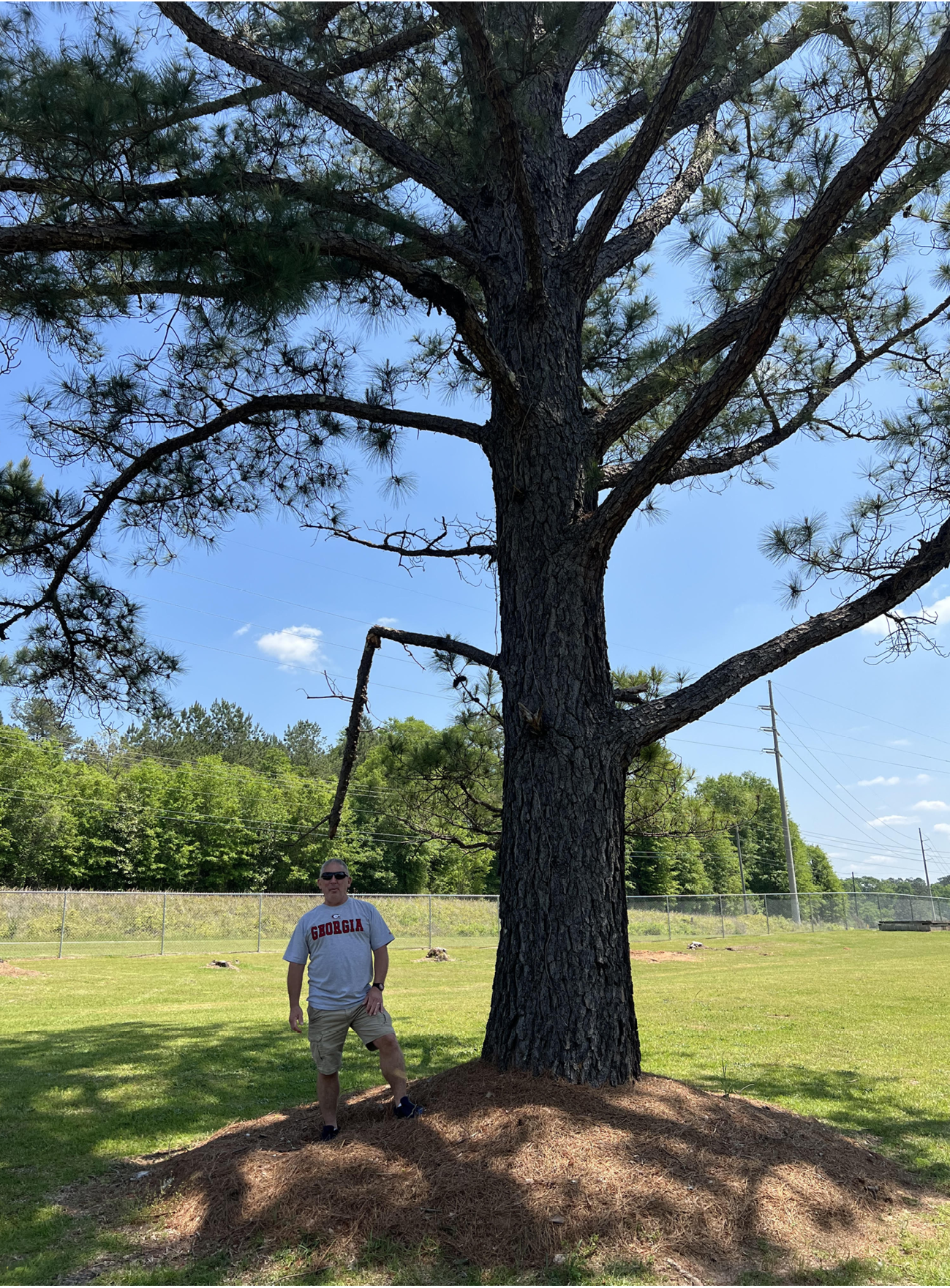 Photograph of a man standing next to a large pine tree.