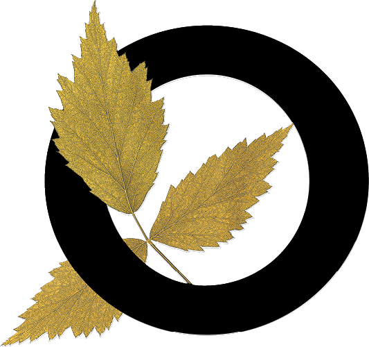 capital letter O with leaf decoration