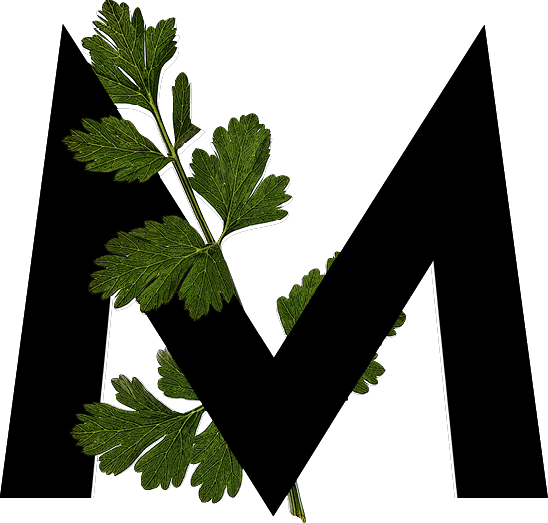 capital letter M with leaf decoration