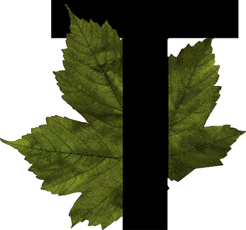capital letter T with leaf decoration