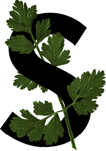 capital letter S with leaf decoration