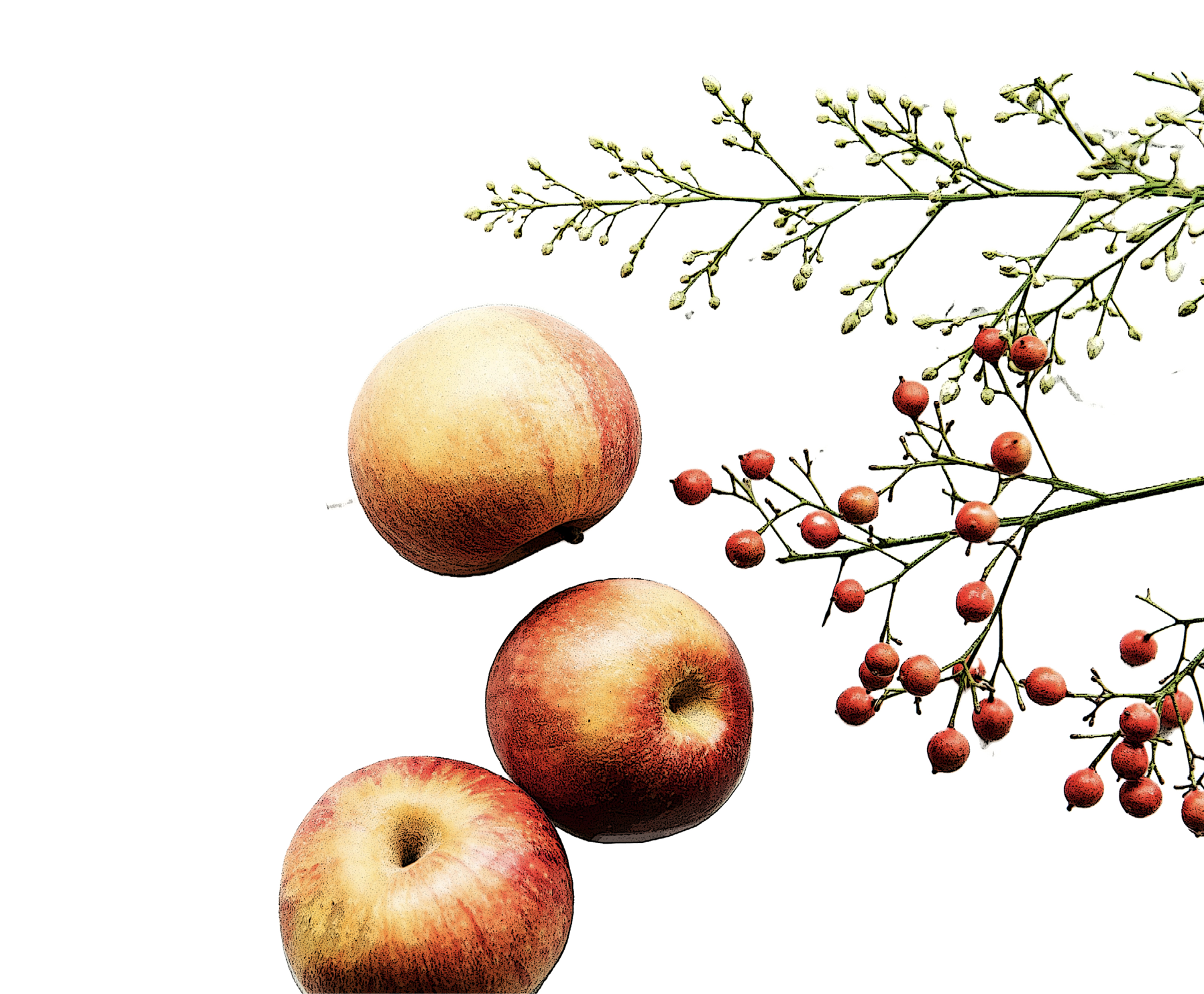 decorative image with apples