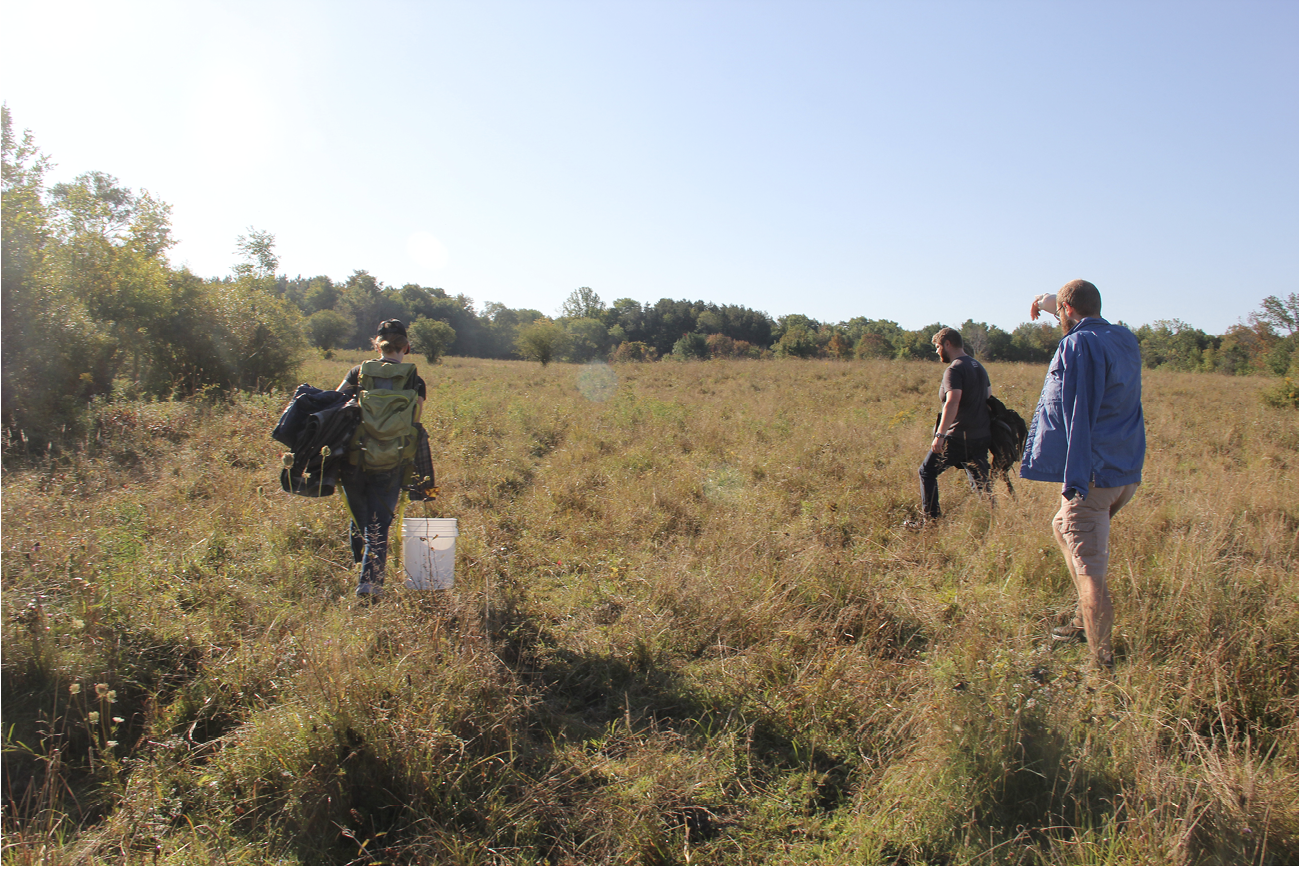 photograph of three people walking through a field, one carrying a bucket and two with backpacks