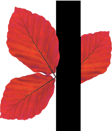 capital letter I with leaf decoration