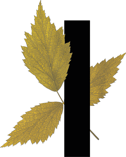 capital letter I with leaf decoration